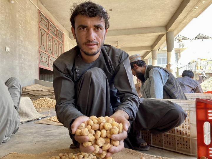 Afghanistan-Dried Apricots 3.jpeg