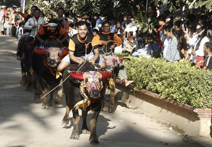 Cambodia-Buffalo Race 1.jpeg