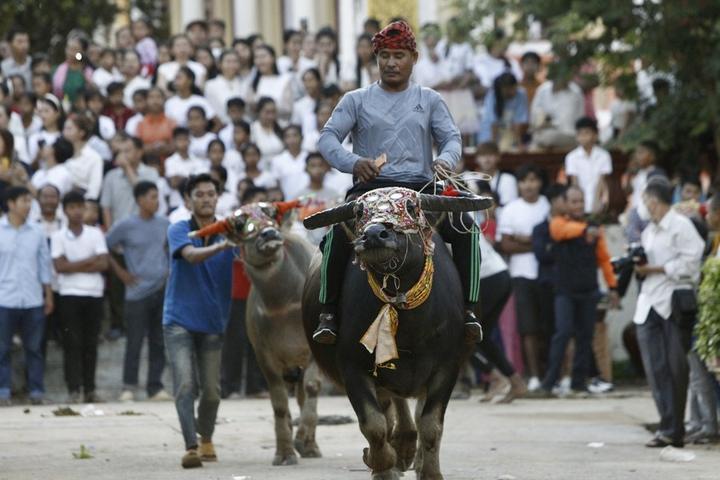 Cambodia-Buffalo Race 2.jpeg