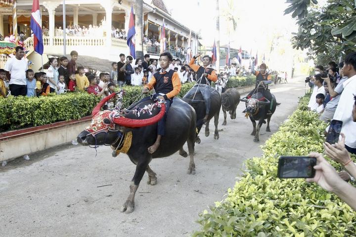 Cambodia-Buffalo Race 3.jpeg