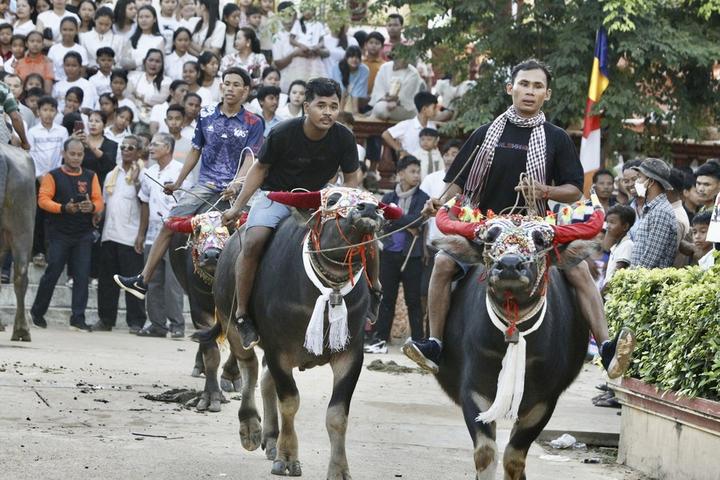 Cambodia-Buffalo Race 5.jpeg