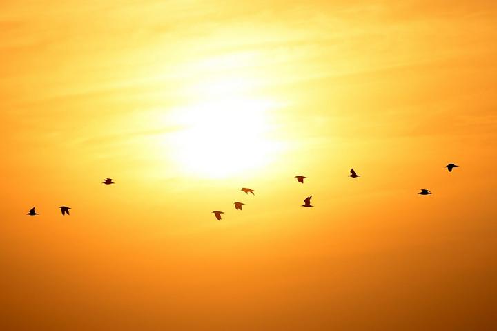 Karachi-Beach 3.jpeg