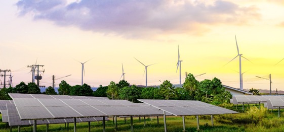 WhatsApp Image 2025-11-18 at 8.35.39 AM.jpeg