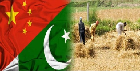 WhatsApp Image 2025-11-20 at 6.29.30 PM (1).jpeg