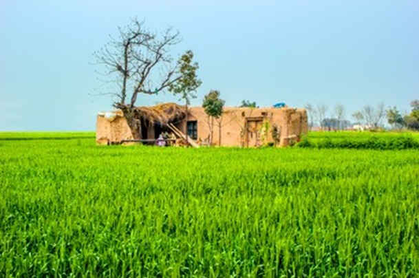 WhatsApp Image 2026-03-30 at 2.38.02 PM.jpeg